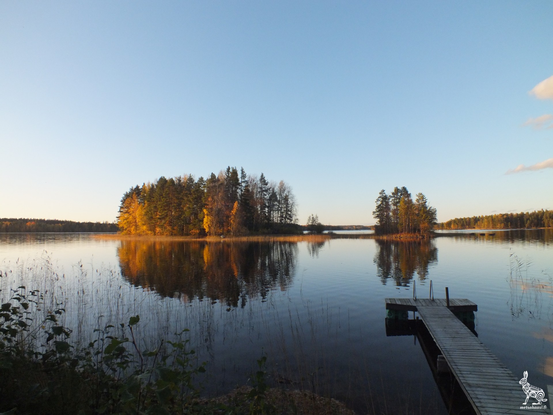 Why We Moved to Finland