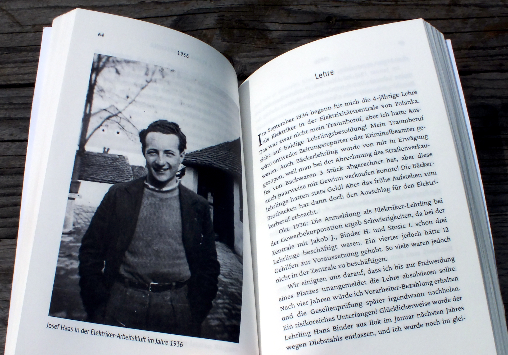 Josef Haas Biografie